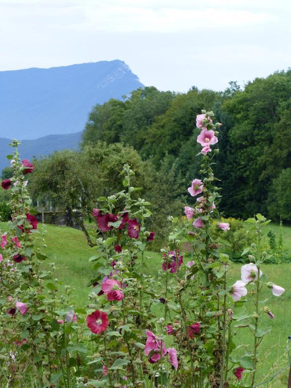 Au Coeur De La Campagne - Gite Non Loins D'Annecy- A 17 Min D'Annecy - Tout Pret D'Aix Les Bains Saint-Girod Ngoại thất bức ảnh